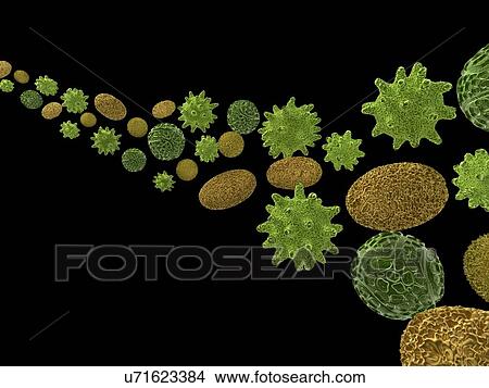 Pollen, artwork View Large Illustration Stock Illustration - Pollen, artwork. Fotosearch