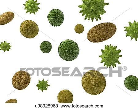 Pollen, artwork View Large Illustration Stock Illustration - Pollen, artwork. Fotosearch