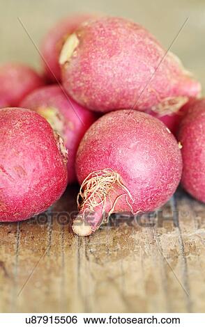 Stock Illustration - Radishes. Fotosearch