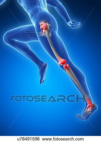 Stock Illustration - Runner's joints, artwork. Fotosearch