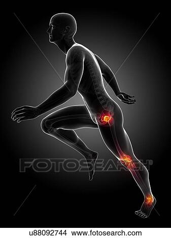 Stock Illustration - Runner's joints, artwork. Fotosearch