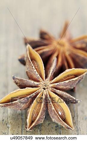 Star anise View Large Illustration Stock Illustration - Star anise. Fotosearch