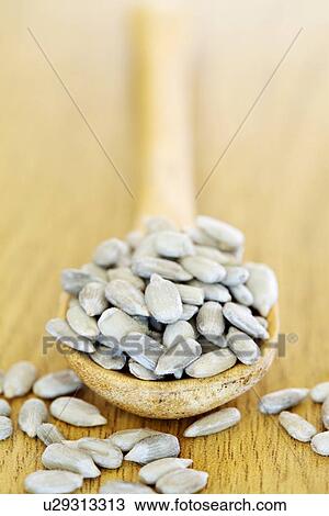 Drawing - Sunflower seeds. Fotosearch