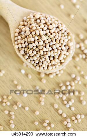 Clipart - Yellow mustard seeds. Fotosearch