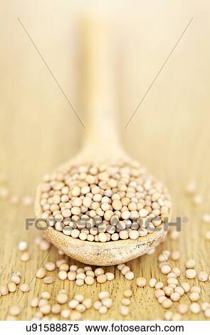 Stock Illustration - Yellow mustard seeds. Fotosearch