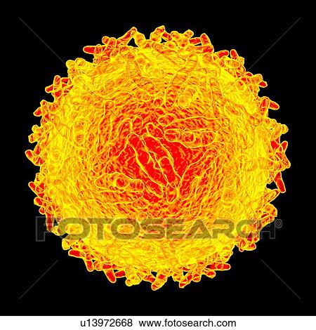 Alphavirus, computer artwork. View Large Illustration Stock Illustration - Alphavirus, computer artwork.. Fotosearch