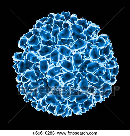 Aquareovirus, computer artwork. View Large Illustration Drawing - Aquareovirus, computer artwork.. Fotosearch