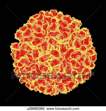 Aquareovirus, computer artwork. View Large Illustration Stock Illustration - Aquareovirus, computer artwork.. Fotosearch