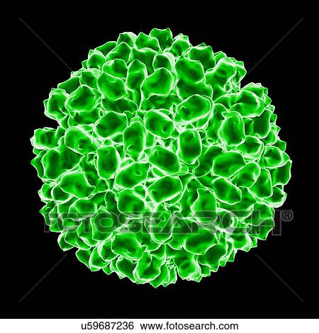Stock Illustration - Aquareovirus, computer artwork.. Fotosearch