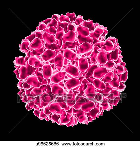 Stock Illustration - Aquareovirus, computer artwork.. Fotosearch