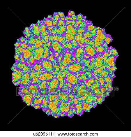 Clip Art - Authentic providence virus, computer artwork.. Fotosearch