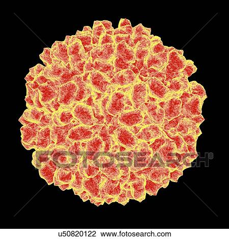 Authentic providence virus, computer artwork. View Large Illustration Drawing - Authentic providence virus, computer artwork.. Fotosearch
