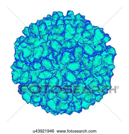 Authentic providence virus, computer artwork. View Large Illustration Stock Illustration - Authentic providence virus, computer artwork.. Fotosearch