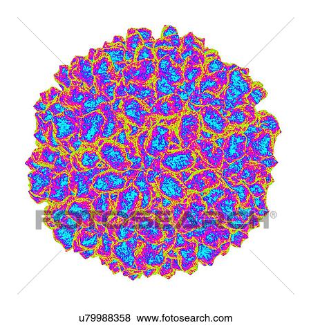 Authentic providence virus, computer artwork. View Large Illustration Stock Illustration - Authentic providence virus, computer artwork.. Fotosearch