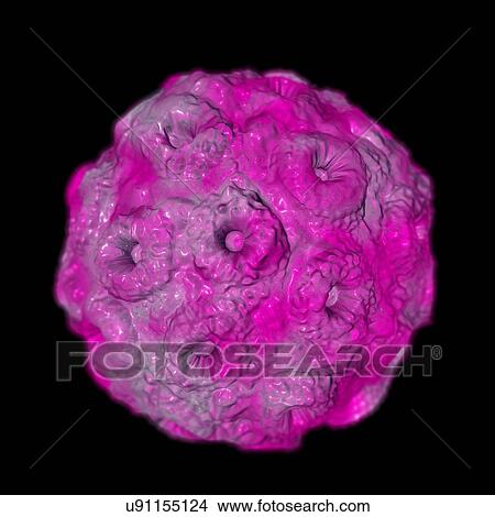Brome mosaic virus (BMV), computer artwork. View Large Illustration Stock Illustration - Brome mosaic virus (BMV), computer artwork.. Fotosearch