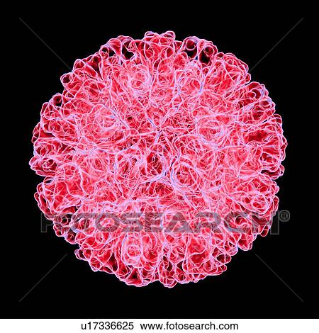 calicivirus, computer artwork. View Large Illustration Stock Illustration - calicivirus, computer artwork.. Fotosearch