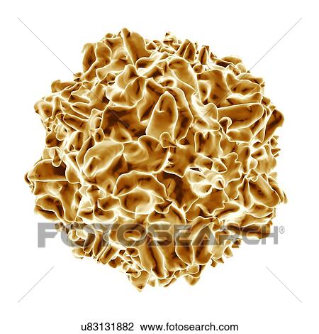 Canine panleukopenia, computer artwork. View Large Illustration Drawing - Canine panleukopenia, computer artwork.. Fotosearch