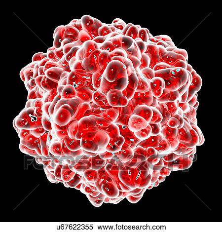 Stock Illustration - Canine panleukopenia, computer artwork.. Fotosearch