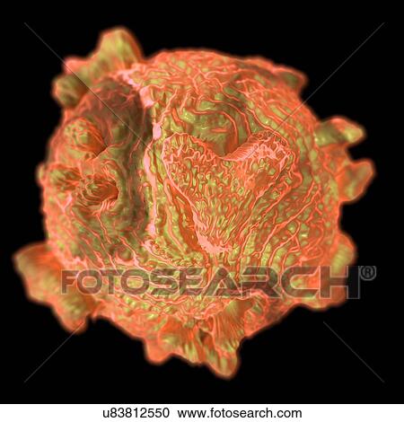 Canine parvovirus, computer artwork. View Large Illustration Clipart - Canine parvovirus, computer artwork.. Fotosearch