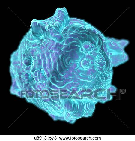 Drawing - Canine parvovirus, computer artwork.. Fotosearch