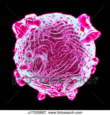 Canine parvovirus, computer artwork. View Large Illustration Stock Illustration - Canine parvovirus, computer artwork.. Fotosearch