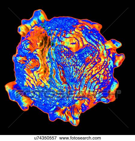 Canine parvovirus, computer artwork. View Large Illustration Stock Illustration - Canine parvovirus, computer artwork.. Fotosearch