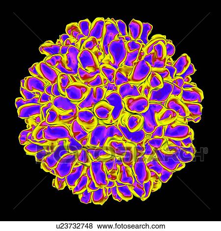 Stock Illustration - Carnation mottle virus, computer artwork.. Fotosearch