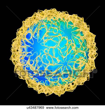 Stock Illustration - Caulobacter bacteriophage, computer artwork.. Fotosearch