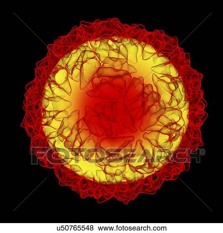 Stock Illustration - Caulobacter bacteriophage, computer artwork.. Fotosearch