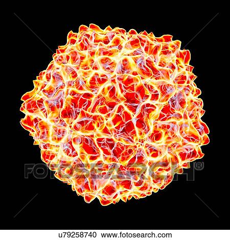 Cocksfoot mottle virus, computer artwork. View Large Illustration Clipart - Cocksfoot mottle virus, computer artwork.. Fotosearch