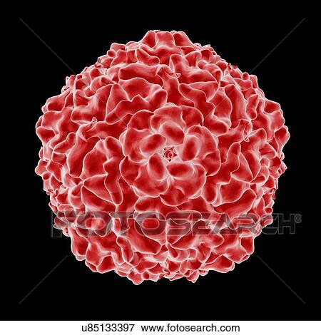 Stock Illustration - Cricket Paralysis Virus (CrPV), computer artwork.. Fotosearch