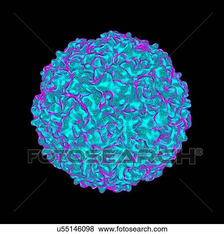 Stock Illustration - Densovirus, computer artwork.. Fotosearch