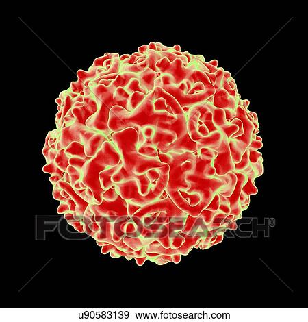 Stock Illustration - Densovirus, computer artwork.. Fotosearch