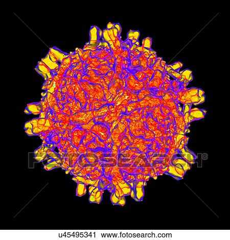 Echovirus, computer artwork. View Large Illustration Clip Art - Echovirus, computer artwork.. Fotosearch
