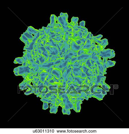 Clipart - Echovirus, computer artwork.. Fotosearch