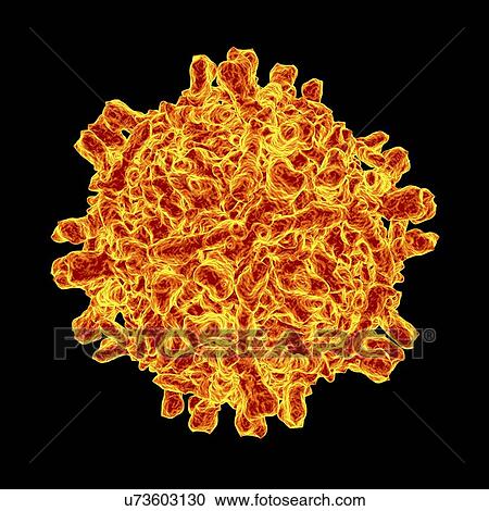 Echovirus, computer artwork. View Large Illustration Clipart - Echovirus, computer artwork.. Fotosearch