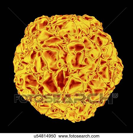 Equine rhinitis A virus (ERAV), computer artwork. View Large Illustration Clipart - Equine rhinitis A virus (ERAV), computer artwork.. Fotosearch