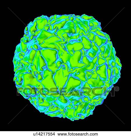 Equine rhinitis A virus (ERAV), computer artwork. View Large Illustration Stock Illustration - Equine rhinitis A virus (ERAV), computer artwork.. Fotosearch