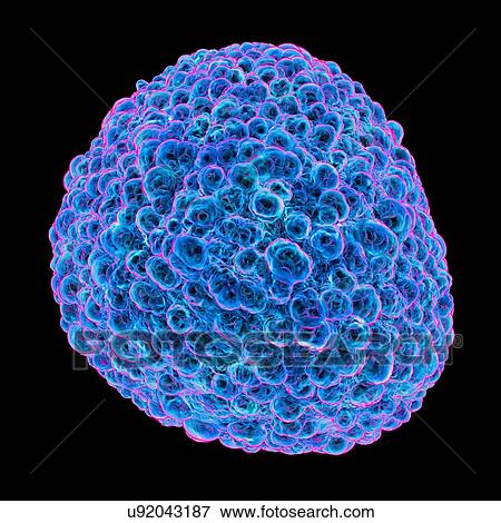 Flavivirus, computer artwork. View Large Illustration Stock Illustration - Flavivirus, computer artwork.. Fotosearch