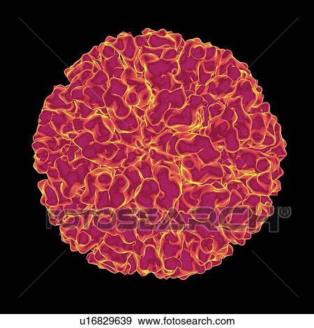 Flock house virus, computer artwork. View Large Illustration Stock Illustration - Flock house virus, computer artwork.. Fotosearch