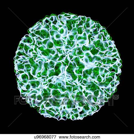 Stock Illustration - Flock house virus, computer artwork.. Fotosearch