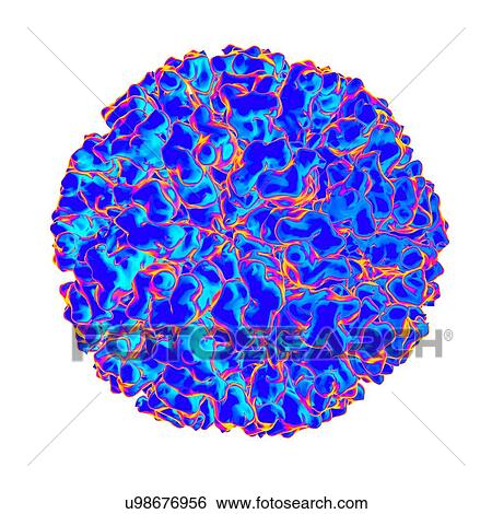 Stock Illustration - Flock house virus, computer artwork.. Fotosearch