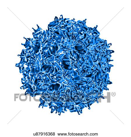 Fungal partitivirus, computer artwork. View Large Illustration Stock Illustration - Fungal partitivirus, computer artwork.. Fotosearch