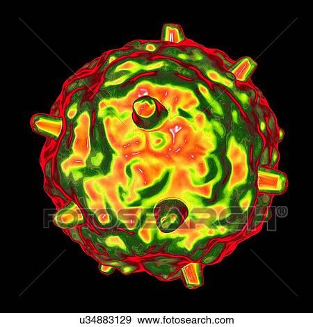 Stock Illustration - Gammaretrovirus, computer artwork.. Fotosearch