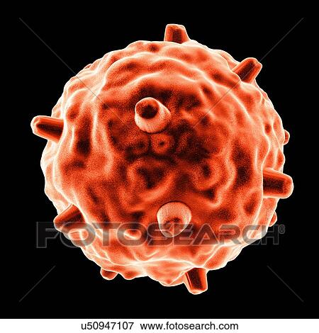 Gammaretrovirus, computer artwork. View Large Illustration Stock Illustration - Gammaretrovirus, computer artwork.. Fotosearch