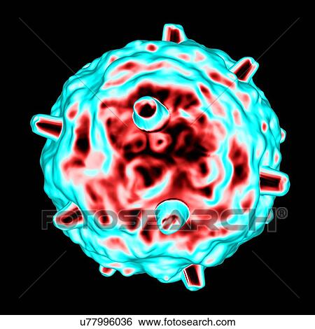 Stock Illustration - Gammaretrovirus, computer artwork.. Fotosearch