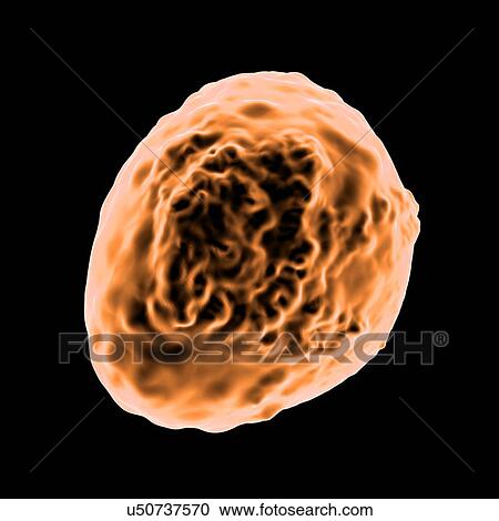 Granulosis virus, computer artwork. View Large Illustration Clipart - Granulosis virus, computer artwork.. Fotosearch