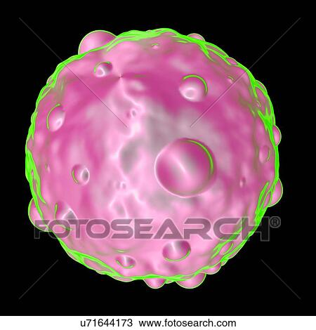 Drawing - Hantavirus, computer artwork.. Fotosearch