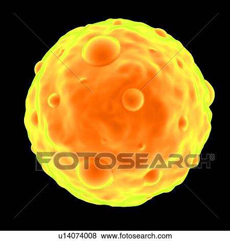 Stock Illustration - Hantavirus, computer artwork.. Fotosearch