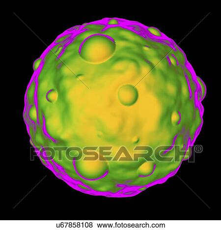 Hantavirus, computer artwork. View Large Illustration Stock Illustration - Hantavirus, computer artwork.. Fotosearch